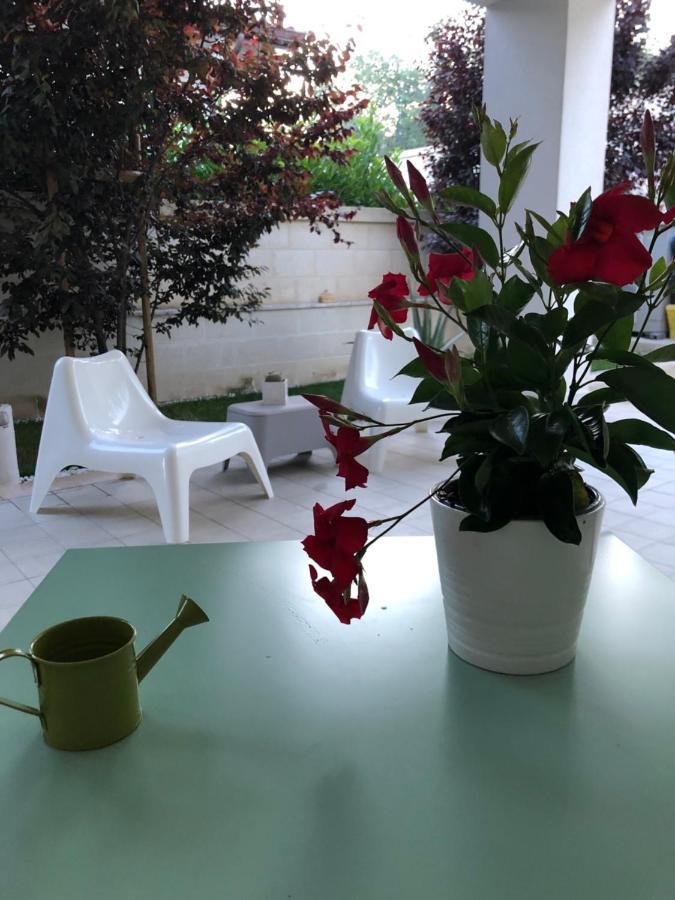 Ofra Matera