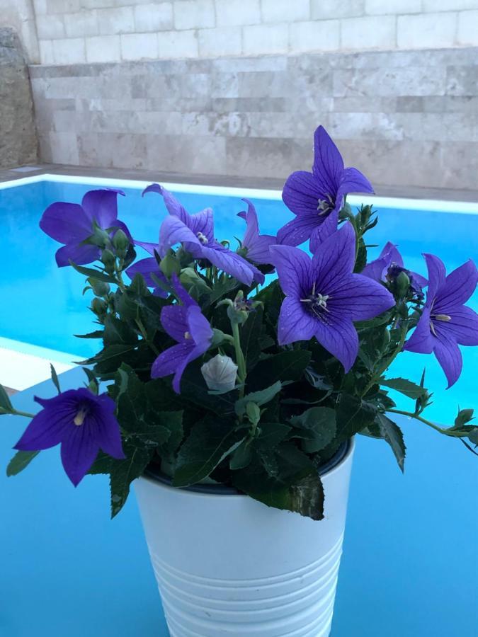 Guest house Ofra Matera
